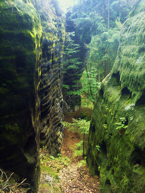Ubytovani U Potoka Kunratice  Bagian luar foto