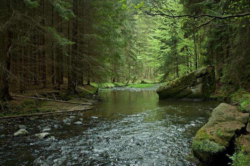Ubytovani U Potoka Kunratice  Bagian luar foto