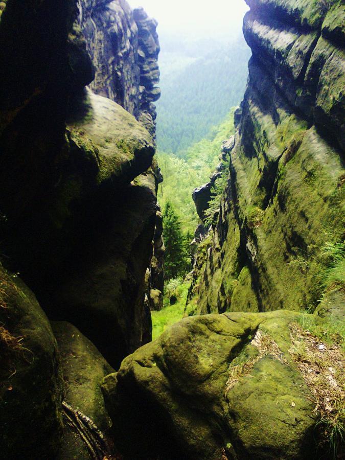 Ubytovani U Potoka Kunratice  Bagian luar foto